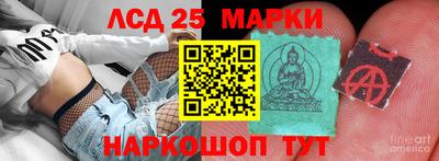 ПСИЛОЦИБИНОВЫЕ ГРИБЫ Камышлов